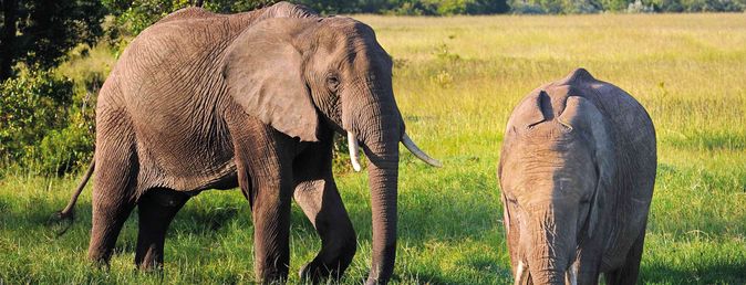 Kenia und Tansania Abenteuer