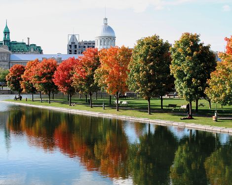 Montreal Herbst