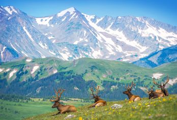 Rockies & Chilcotin-Wildnis
