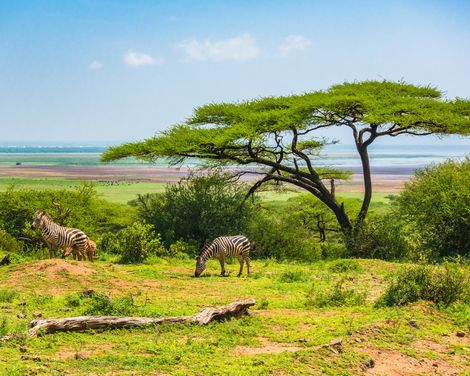 Sansibar und Safari-Abenteuer-0