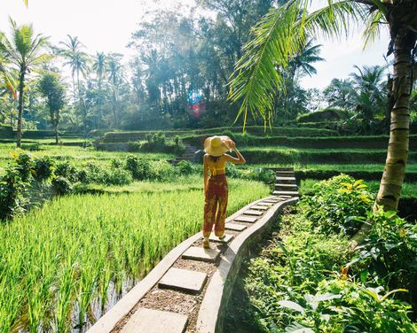 Bali Ubud Tegallalang