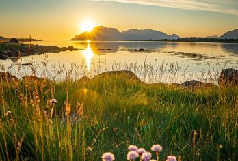 Sommer unter der Mitternachtssonne