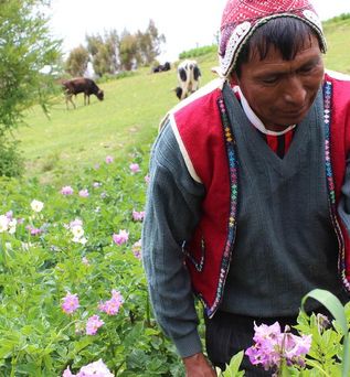 Peru