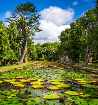 Mauritius
