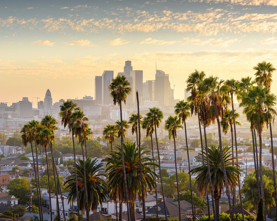 Los Angeles Downtown Skyline  
