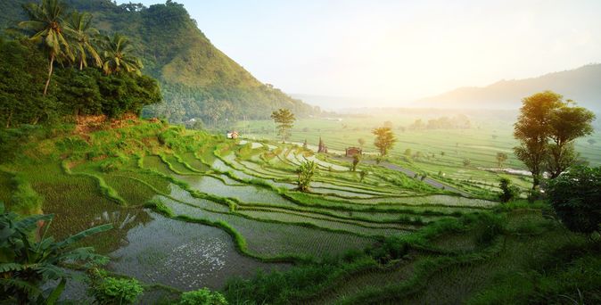 Bali Natur