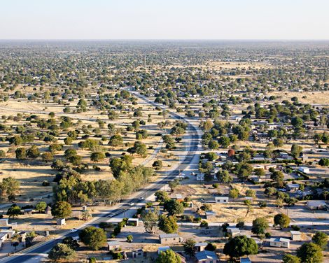 Maun