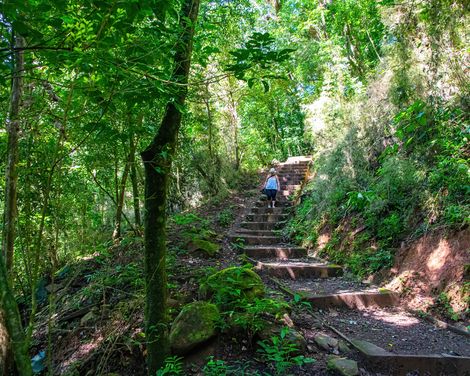 Monteverde Nationalpark