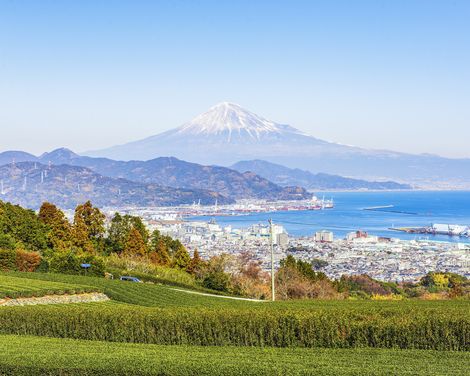 Shizuoka + Vulkan Fuji