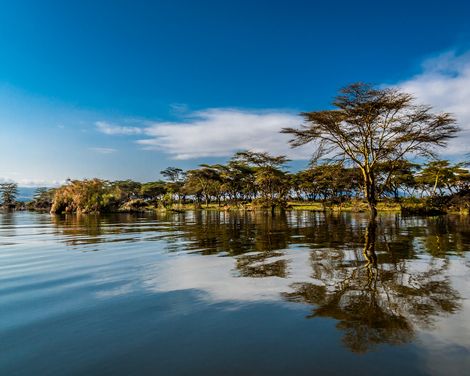 Great Rift Valley Lake Naivasha