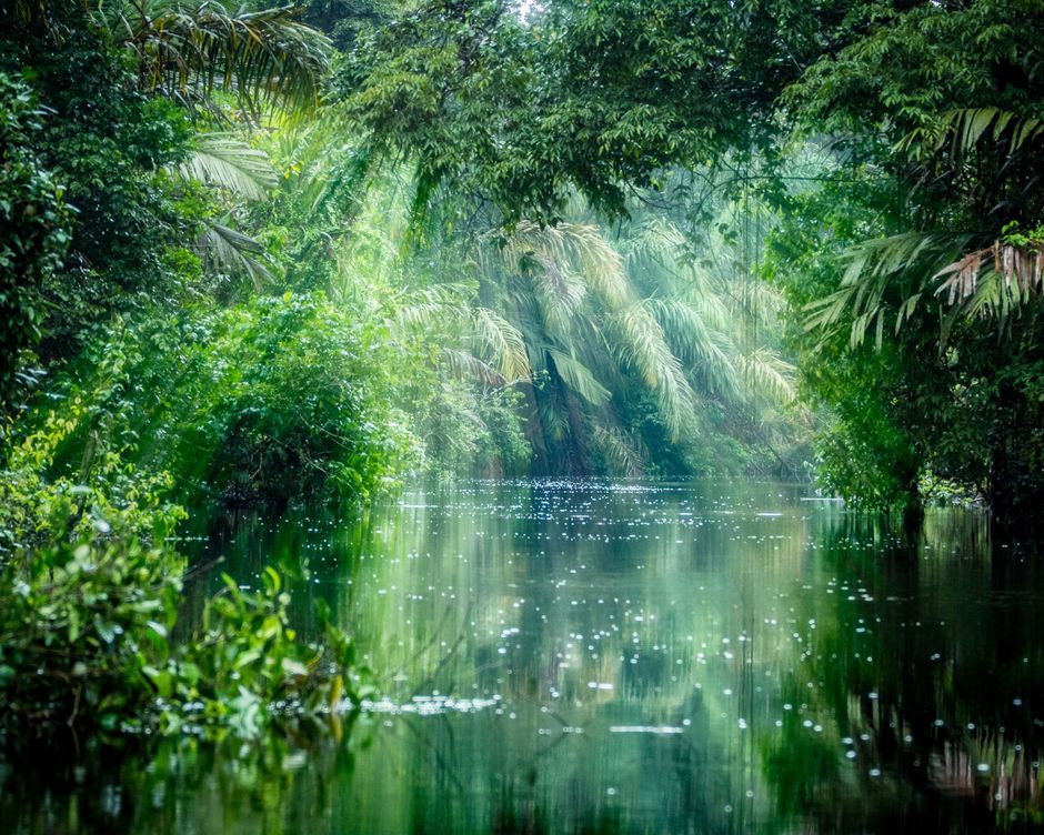 Tortuguero National Park