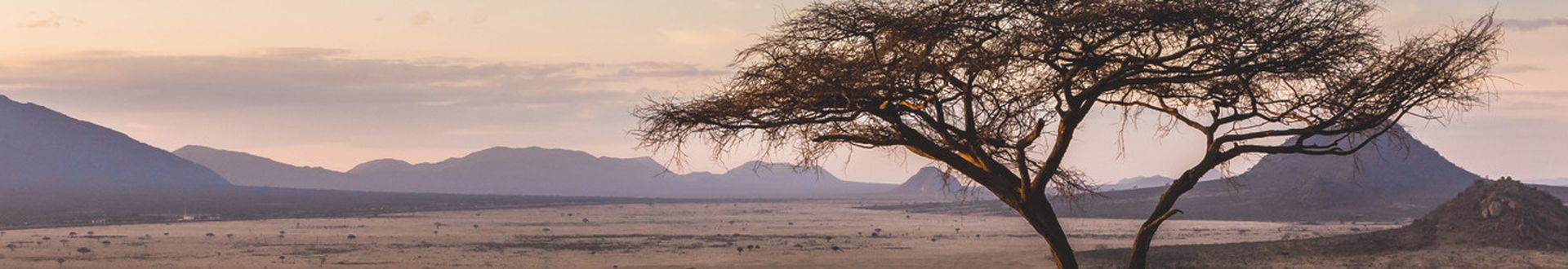 Safari in Kenia