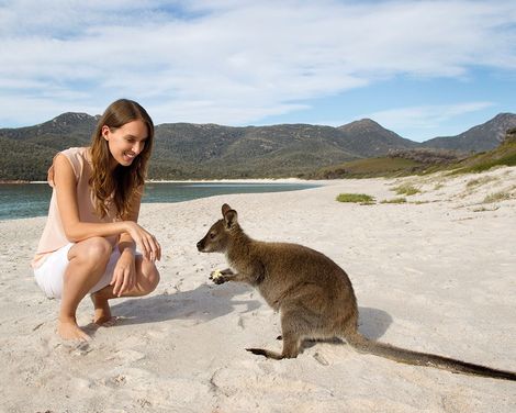 Naturerlebnis Tasmanien-0