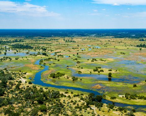 Okavango Delta 