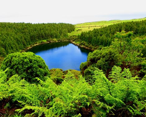 Azoren Insel Pico