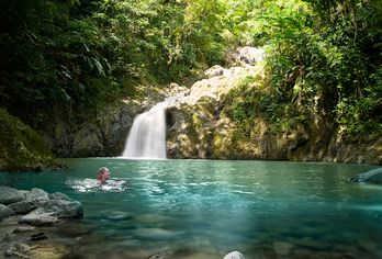 Tobago für Genießer inkl. Flug