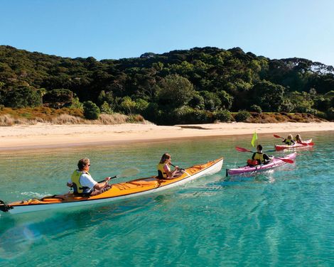 Bay of Islands Kajaktour