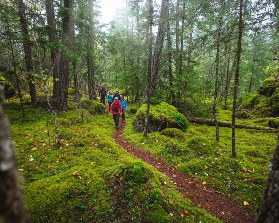 Tweedsmuir Park Lodge Nature Walk