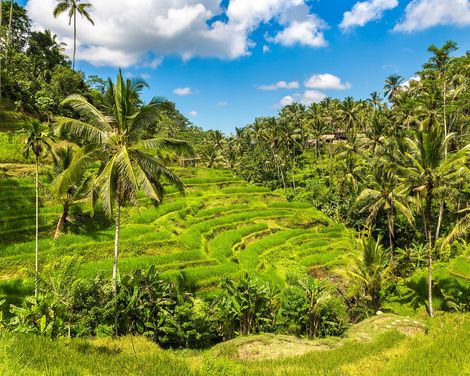 Facettenreiches Bali -0