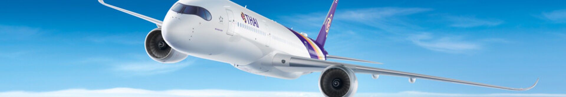 Flug