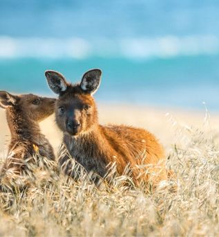 Australien