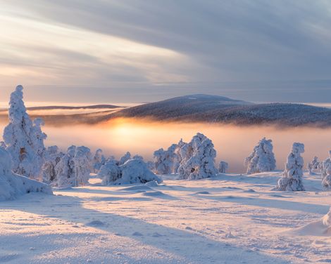 Lappland Kittilae Levi Region Winter
