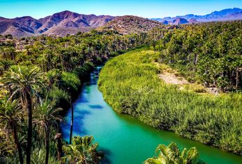 Baja California Sur erleben