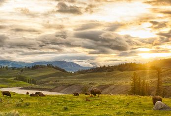 Rund um den Yellowstone