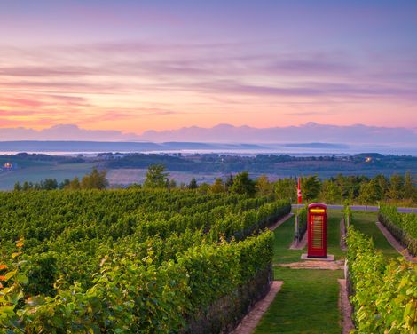 Wolfville Luckett Vineyards