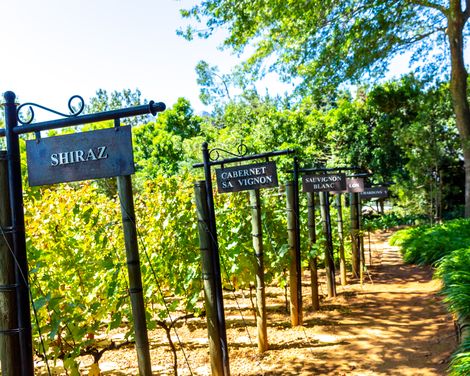 Stellenbosch