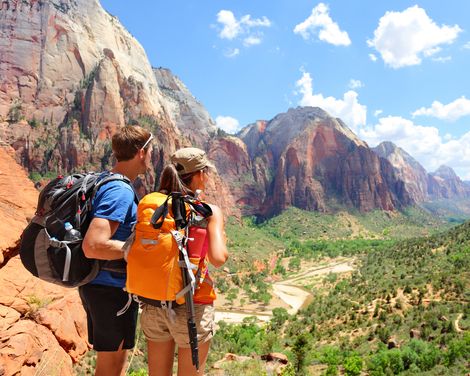 Zion National Park Wanderer