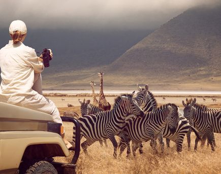 Safari