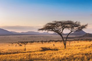 Rundreisen Kenia